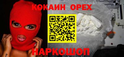 крисы Лесосибирск
