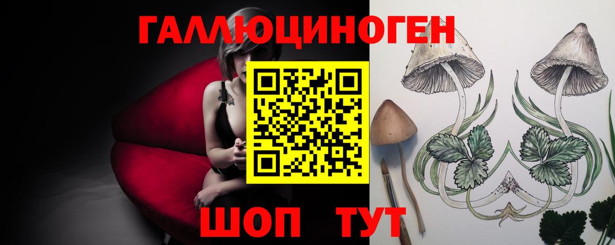 Ейск  закладка  Вход с VPN  Псилоцибиновые грибы MAGIC MUSHROOMS 